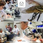 Colabora la UAT en medidas preventivas contra el gusano barrenador