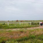 Regulariza ITAVU más de 800 colonias y asentamientos en Tamaulipas