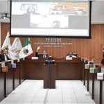 Realizará el IETAM consulta para el diseño e implementación, en su caso, de acciones afirmativas en la integración de sus órganos desconcentrados